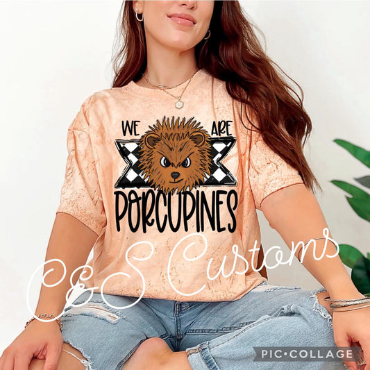 We Are Porcupines (Pictured on Comfort Colors)