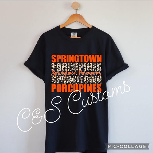 Springtown Porcupines